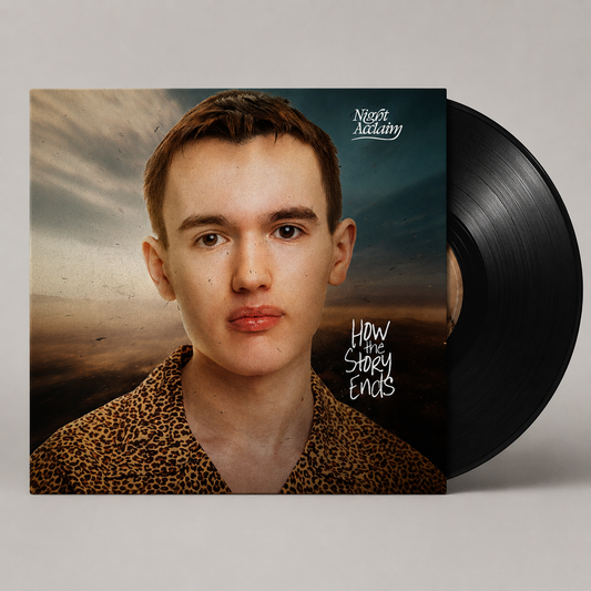 How the Story Ends Vinyl